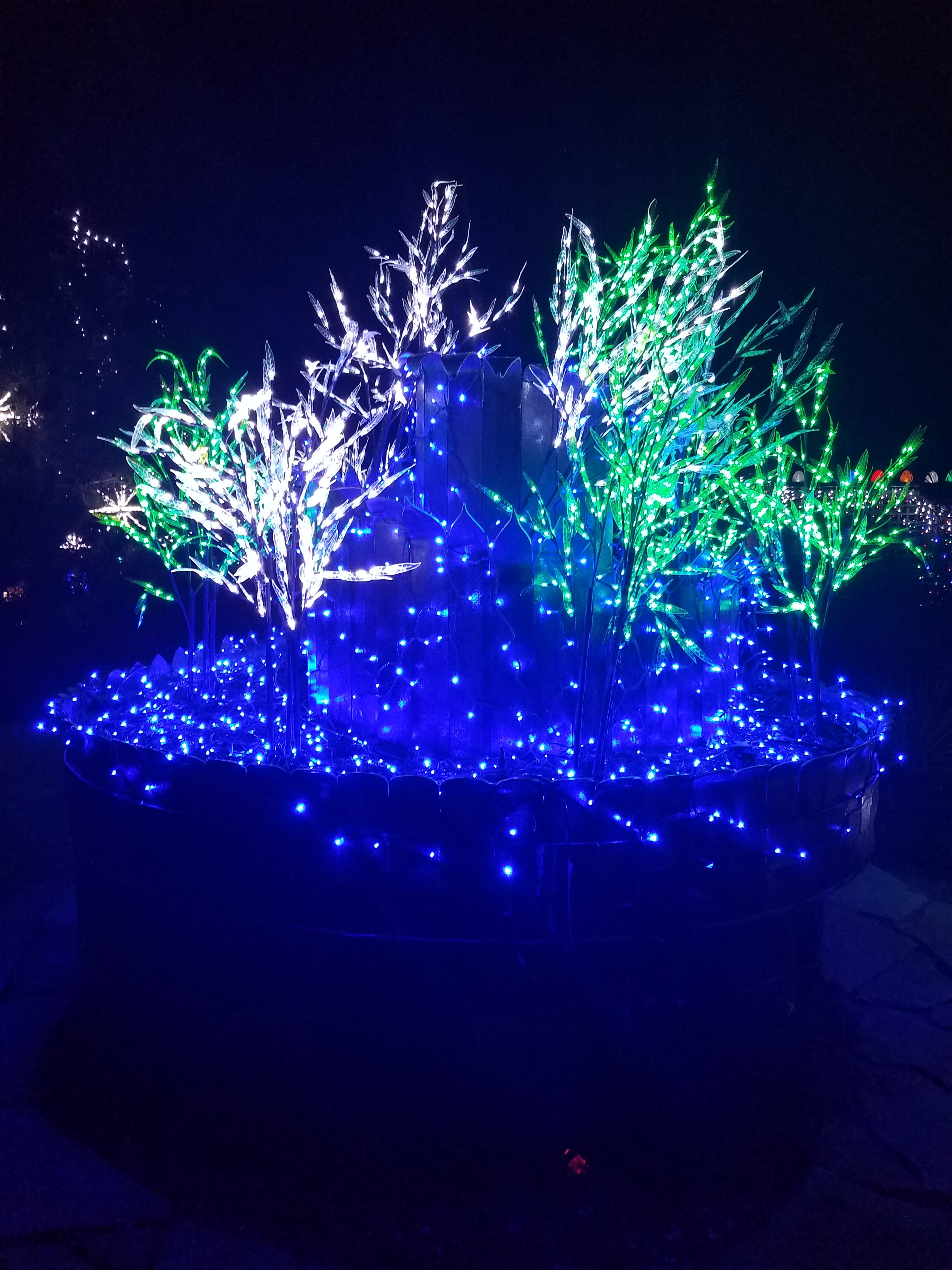 blue lights on a tree at winter lights show