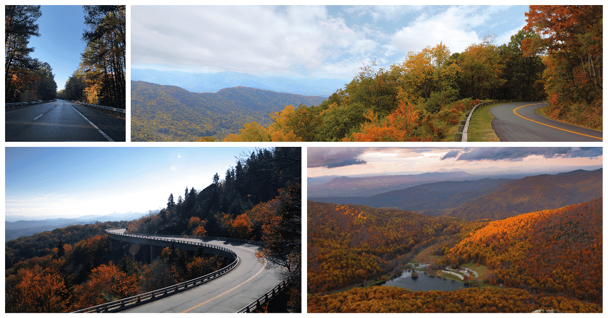 6 Phases of Fall Foliage in Asheville NC