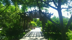 NC Arboretum, Arbor with walkway beneath