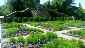 Gardens and walkways with green plants and flowers