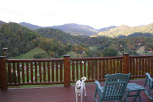 Blue chair and white dog on balcony or deck overlooking mountains, hills, valley.