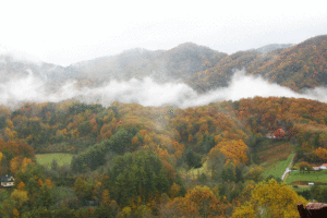 Mountain views with green, orange and yellow foliage
