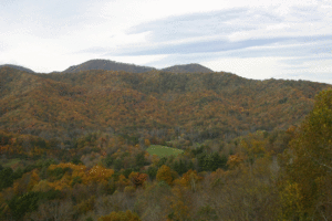 Mountains with orange, yellow and rust colored leaves