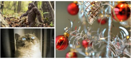 Bigfoot aluminum christms tree and house cat