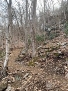 Unpaved, narrow defined trail gently curving through woody and rocky landscape