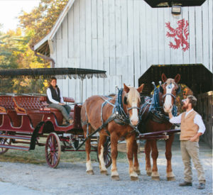 horse drawn carriage outside of barn