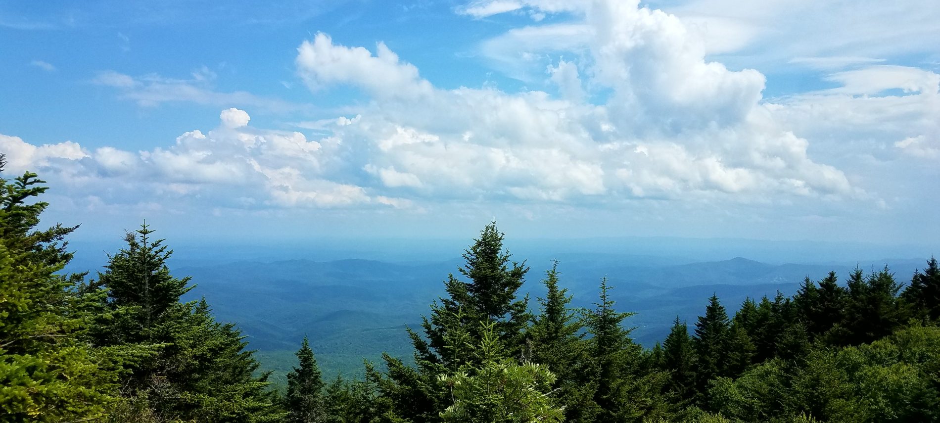 Grandfather Mountain