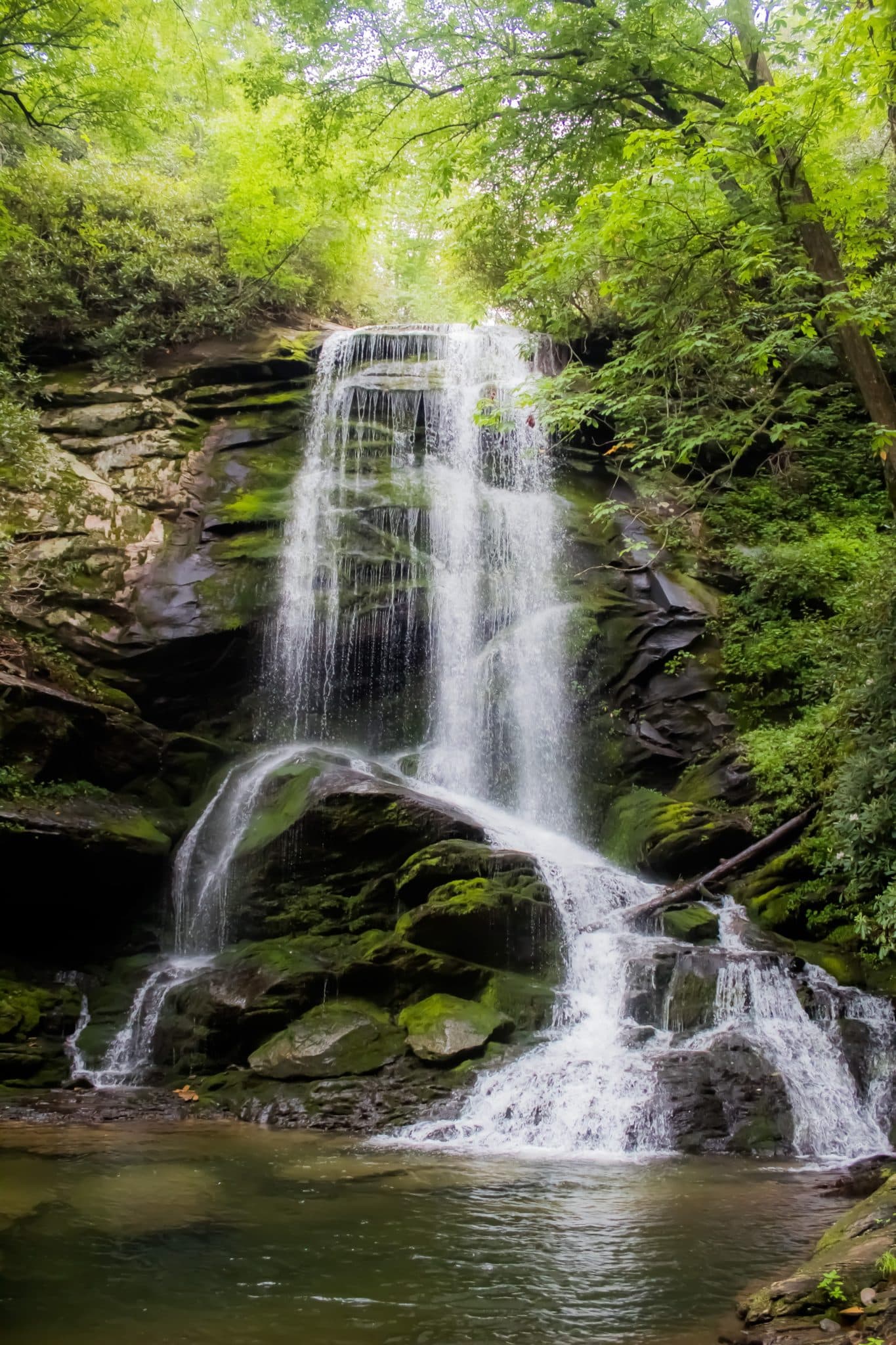 Cachoeira pequena mas íngreme sobre rochas rodeadas de árvores verdes