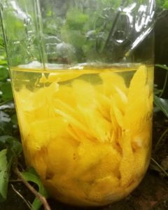 macerating lemon rinds