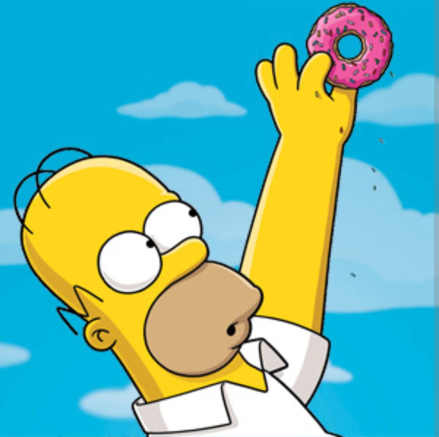 Homer Simpson Donut Head.