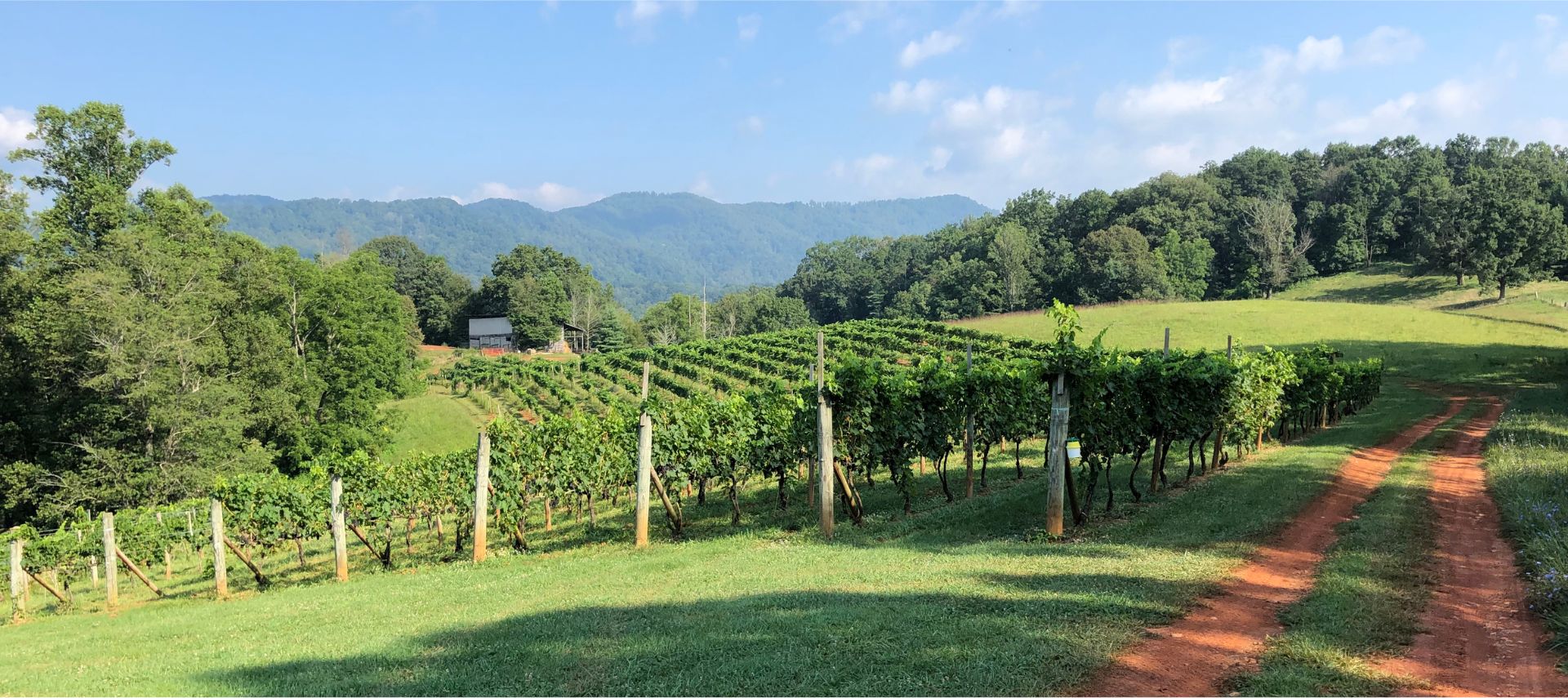 View of Addison Farm Vineyard with dirt path towards barn and mountains in the background