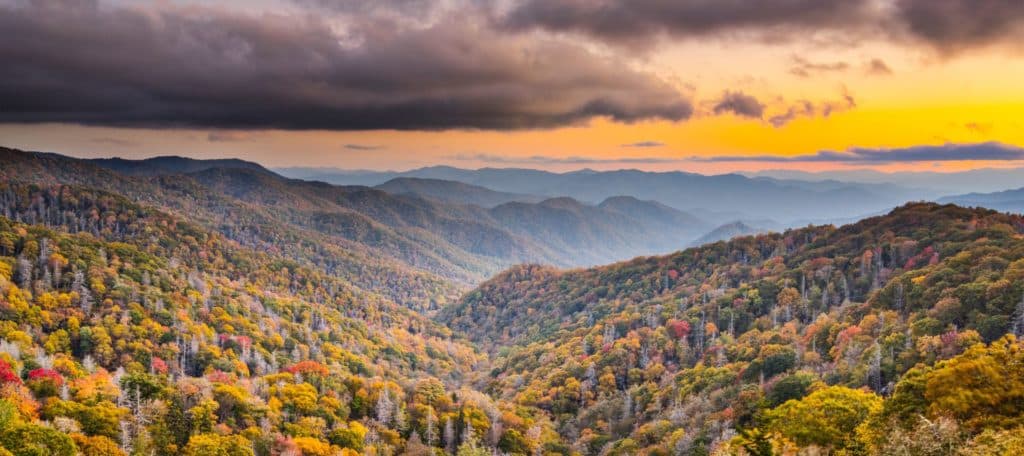 Mist clearing over fall trees in the Great Smoky Mountains