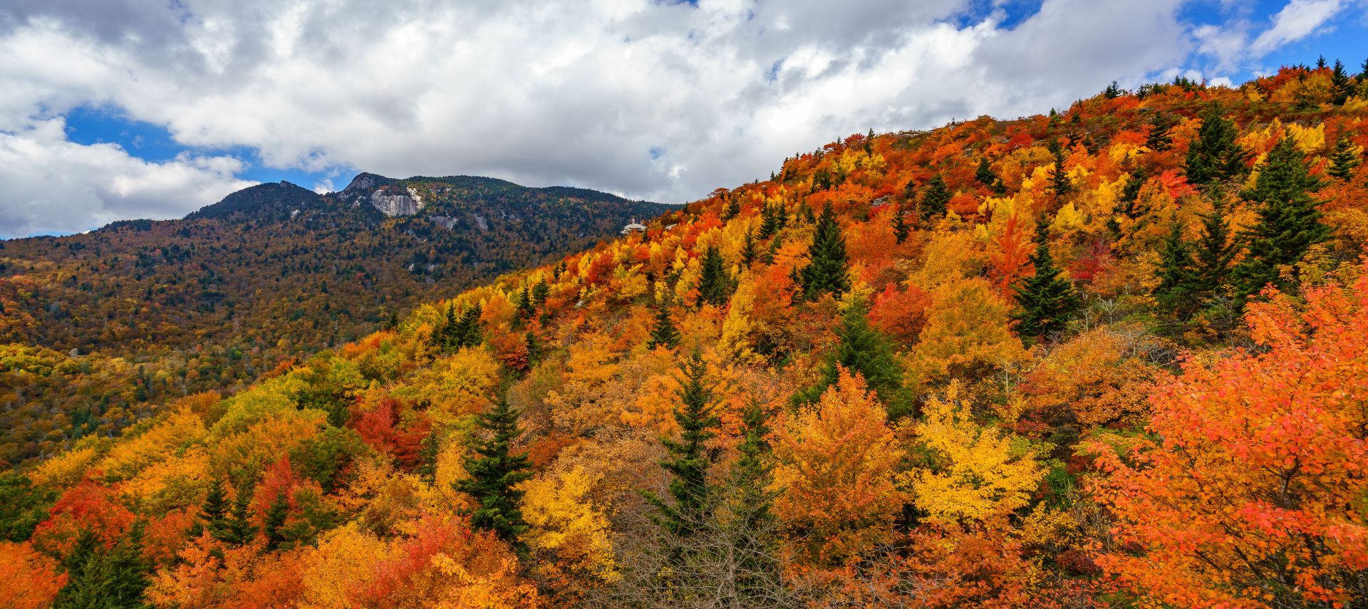 trees and hills along Blue Ridge Parkway colored for fall