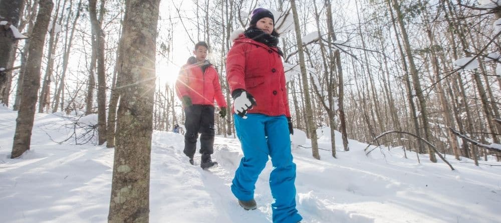 couple hiking down a snowy, wooded hill 