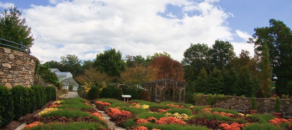 north carolina arboretum with flowers in bloom